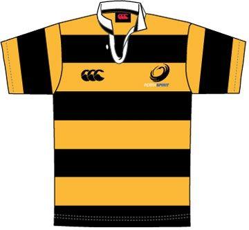 Name:  the-arc-perth-spirit-jersey-and-colours.jpg
Views: 1101
Size:  13.1 KB