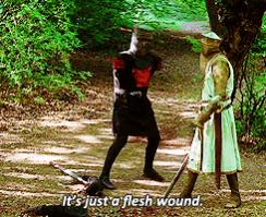 Name:  flesh-wound.jpg
Views: 2730
Size:  19.1 KB