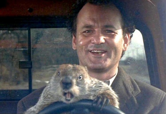 Name:  groundhog-day-.jpg
Views: 631
Size:  63.6 KB